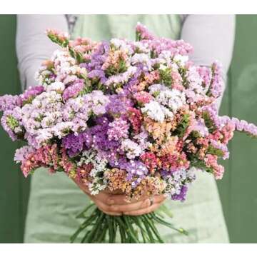 Gardening Treasures: 40 Statice Pastel Mix Seeds for Colorful Blooms