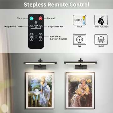 DESOOP Battery Operated Picture Light with Remote Control