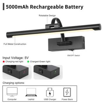 DESOOP Battery Operated Picture Light with Remote Control