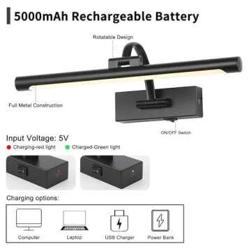 DESOOP Battery Operated Picture Light with Remote Control