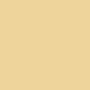 Vallejo Desert Dust Model Wash