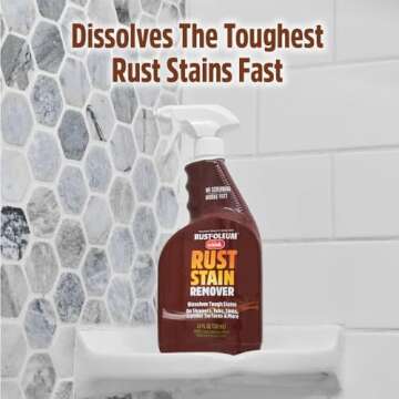 Rust-Oleum Whink Foaming Rust Stain Remover Spray - Tough on Rust, 24 oz