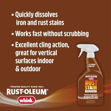 Rust-Oleum Whink Foaming Rust Stain Remover Spray 24 oz
