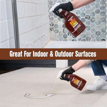 Rust-Oleum Whink Foaming Rust Stain Remover Spray 24 oz