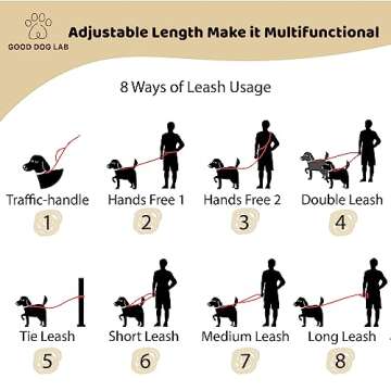 Heavy Duty Hands Free Dog Leash for Active Owners
