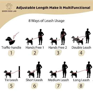 Heavy Duty Hands Free Dog Leash for Active Owners