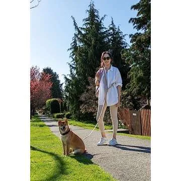 Heavy Duty Hands Free Dog Leash for Active Owners