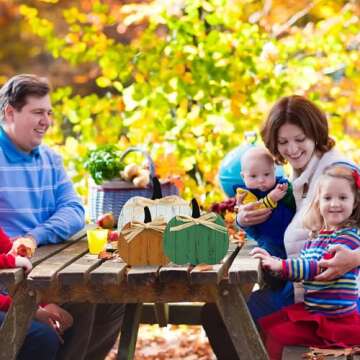 Pumpkin Decorations for Home Fall Pumpkin Wood Table Signs Thanksgiving Tiered Tray Decor Farmhouse Wood Block Signs Rustic Wood Tabletop Sign for Fall Autumn Thanksgiving Harvest Farmhouse Home Decor