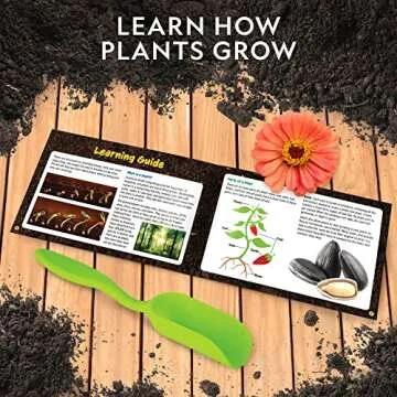 NATIONAL GEOGRAPHIC Flower Growing Kit for Kids - Decorate 3 Pots with Paint and Stickers, Kids Gardening Set, Arts and Crafts for Kids Ages 8-12, Garden Kit for Kids, Birthday Gifts, Medium