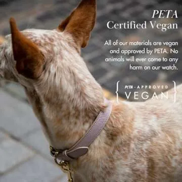 NINA WOOF Milan Vegan Leather Dog Collar - Padded Luxury Dog Collar with Adjustable Buckle - Collar for Dogs, Dog Collar for Small Dogs to Dog Collar for Large Dogs - Color Lilac, Size Extra Small