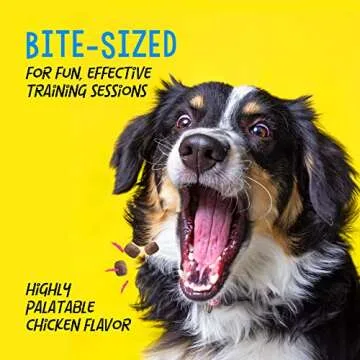 Crazy Dog Train-Me! Dog Treats 16 Oz - Low Fat Training Reward