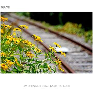 Sony E PZ 18-105mm f/4 G OSS Lens for Sony Digital SLR Cameras - International Version (No Warranty)