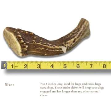 WhiteTail Naturals - Deer Antlers for Large Dogs - (1 Pack - Extra Large) - All Natural Dog Antler- Naturally Shed, Long Lasting Chew Bone, Crafted in USA for Aggressive Chewers