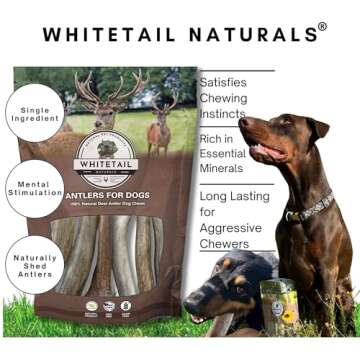 WhiteTail Naturals - Deer Antlers for Large Dogs - (1 Pack - Extra Large) - All Natural Dog Antler- Naturally Shed, Long Lasting Chew Bone, Crafted in USA for Aggressive Chewers