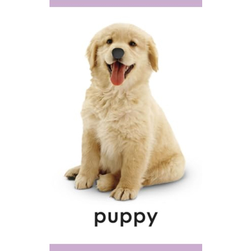 My First Touch and Feel Animal Cards - Educational Fun