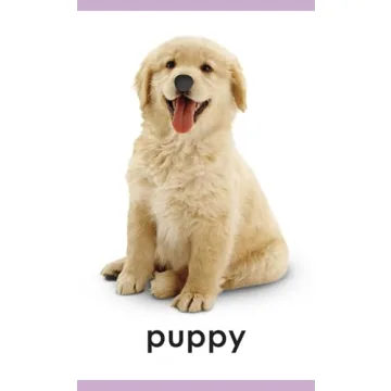 My First Touch and Feel Animal Cards - Educational Fun