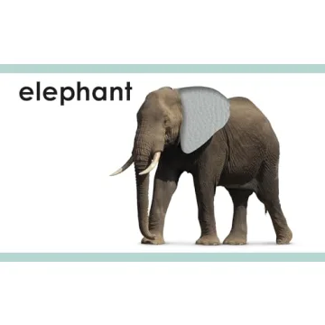 My First Touch and Feel Animal Cards - Educational Fun