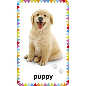 My First Touch and Feel Animal Cards - Educational Fun