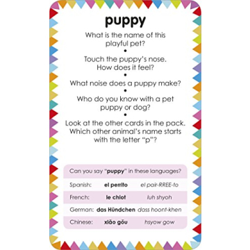 My First Touch and Feel Animal Cards - Educational Fun