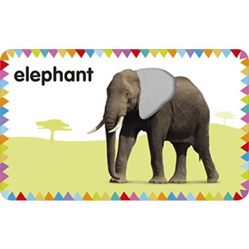 My First Touch and Feel Animal Cards - Educational Fun
