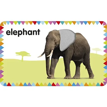 My First Touch and Feel Animal Cards - Educational Fun