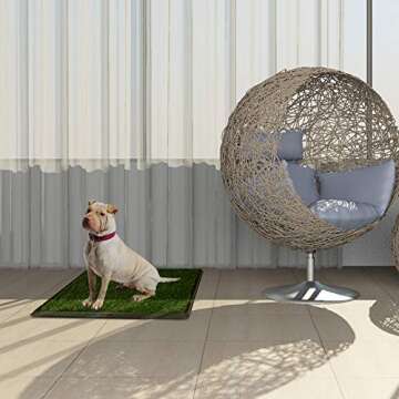 Home-Man Puppy Potty Trainer - Pets Indoor Restroom - Artificial Grass Pet Bathroom Mat for Pet Potty Training, 16"x20"