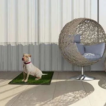 Home-Man Puppy Potty Trainer - Pets Indoor Restroom - Artificial Grass Pet Bathroom Mat for Pet Potty Training, 16"x20"