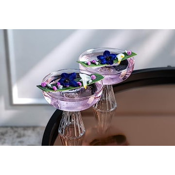 Elegant Paris Coupe Glasses Set for Cocktails and Champagne