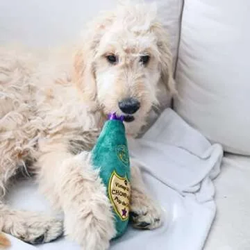 H&K for Dogs Power Plush | Vintage Chompagne (Large) | Funny Dog Toy | Dog Toy with Squeaker | Dog Gift | Fun, Durable, and Safe | Squeaky Dog Toy