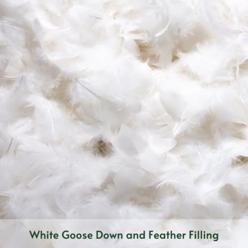 OTOSTAR Pack of 2 Down and Feather Throw Pillow Inserts, 22 x 22 Soft Fluffy Square Pillow Inserts with 100% Cotton Cover Decorative Pillows for Sofa Couch Bed-White