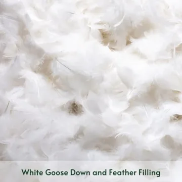 OTOSTAR Pack of 2 Down and Feather Throw Pillow Inserts, 22 x 22 Soft Fluffy Square Pillow Inserts with 100% Cotton Cover Decorative Pillows for Sofa Couch Bed-White