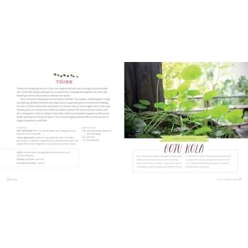 Healing Herbal Teas: Learn to Blend 101 Specially Formulated Teas for Stress Management, Common Ailments, Seasonal Health, and Immune Support