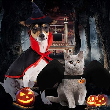 Complete TFTSR Halloween Costumes for Medium & Large Pets