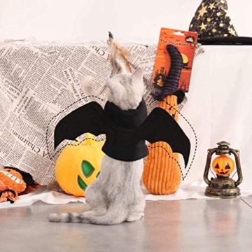 Complete TFTSR Halloween Costumes for Medium & Large Pets
