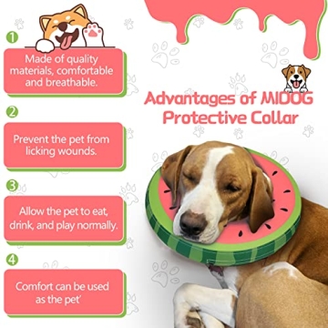Comfortable Inflatable Dog Cone Collar Recovery Aid