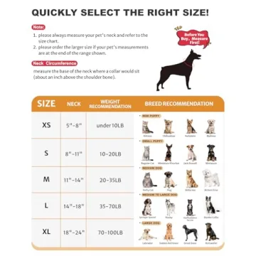 Comfortable Inflatable Dog Cone Collar Recovery Aid