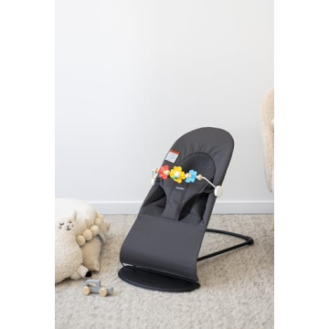 BabyBjörn Toy for Bouncer - Bright Spinning Fun for Babies