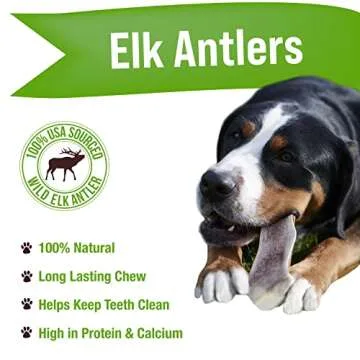 Buck Bone Organics Dog Chews, Elk Antlers for Dogs, Long Lasting Dog Bones for Aggressive Chewers, A...