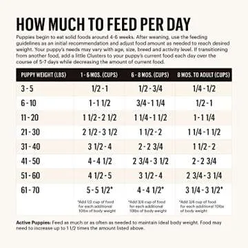 The Honest Kitchen Whole Food Clusters Puppy Whole Grain Chicken Dry Dog Food, 4 lb Bag