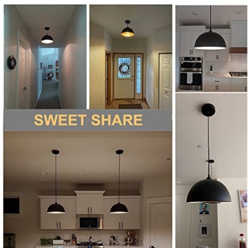 DLLT Industrial Pendant Light for Instant Elegance