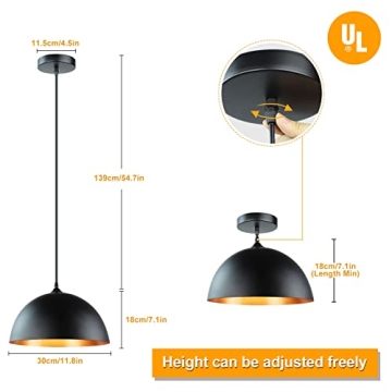 DLLT Industrial Pendant Light for Instant Elegance