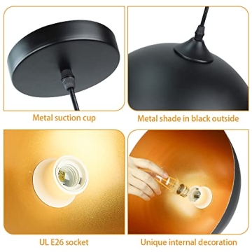 DLLT Industrial Pendant Light for Instant Elegance