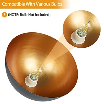 DLLT Industrial Pendant Light for Instant Elegance