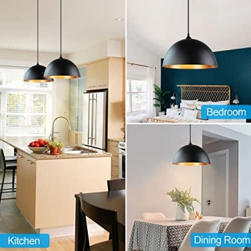 DLLT Industrial Pendant Light for Instant Elegance
