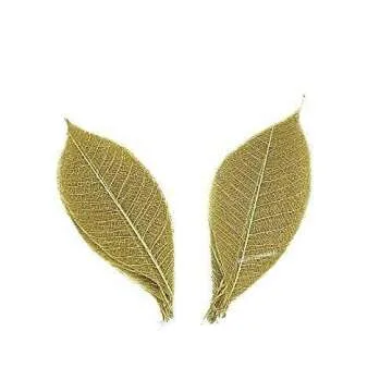 NAVA CHIANGMAI Rubber Tree Leaves - Pack of 100 Skeleton Leaves Decorative DIY Craft , Artificial Leaves Craft Card Scrapbook DIY Handmade Embellishment Decoration Art (Gold)