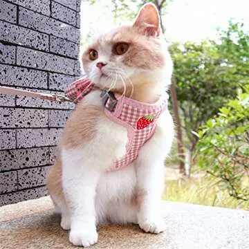 Yuehuam Pet Backpack Harness with Leash for Cat Small Dog Self Mini Carrier Back Pack Pocket Saddle Bags Puppy Bag with Training Lead Leash for Doggie Outdoor Travel Hiking Walking