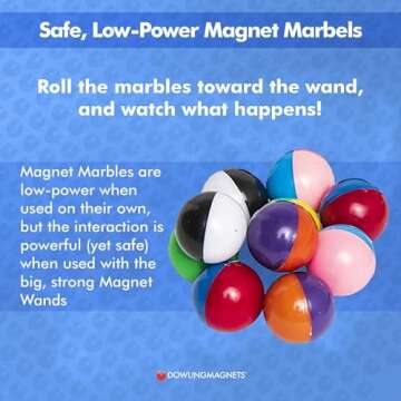 Dowling Magnets Simply Science Magnet Mania Kit for Kids