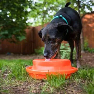 UST Flexware Collapsible Bucket 2.0 - Versatile & Durable