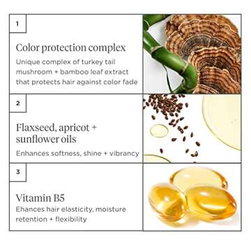 Briogeo Color Me Brilliant Mushroom + Bamboo Color Protect Conditioner, Maintains and Protects Vibrant Hair Color, Strengthens and Hydrates, Vegan, Cruelty-Free, 8 fl oz