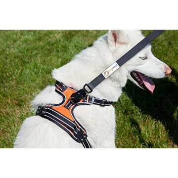 Heavy Duty 6FT DogNerd Silicone Leash for Large Dogs